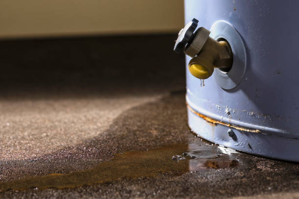 Best 24/7 water damage repair  in Holden, MO