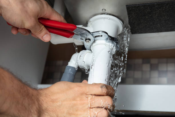 Best Sewage cleanup and water damage restoration  in Holden, MO