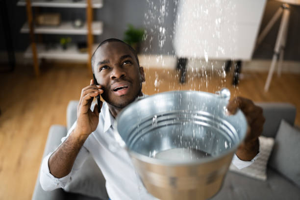 Best Basement water damage restoration  in Holden, MO