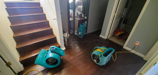 Carpet water damage restoration in Holden, MO