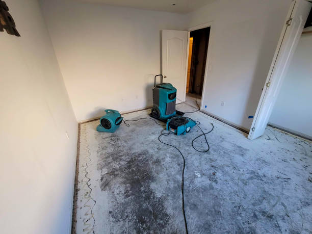 Water damage restoration experts in Holden, MO
