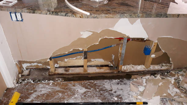 Best 24/7 water damage repair  in Holden, MO