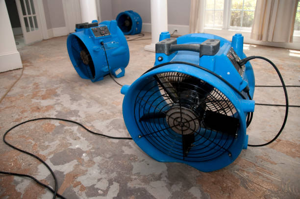 Best Flood damage cleanup  in Holden, MO