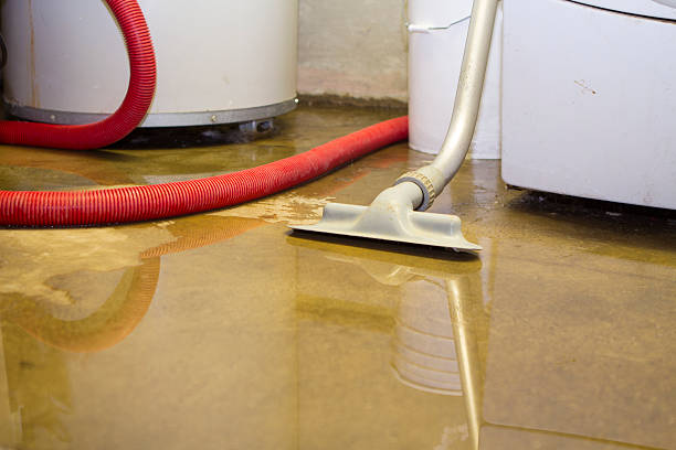 Best Water damage restoration near me  in Holden, MO