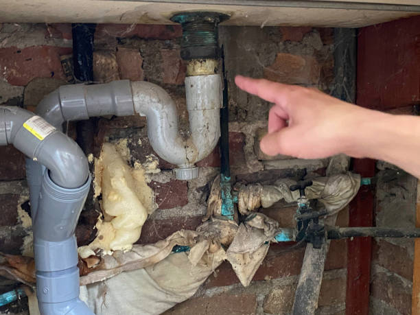 Best Water damage restoration near me  in Holden, MO
