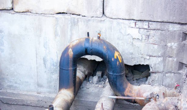 Best Water damage restoration near me  in Holden, MO