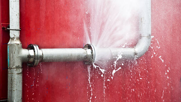 Best Flood restoration services  in Holden, MO